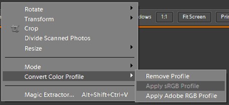 Elements Conversion to sRGB